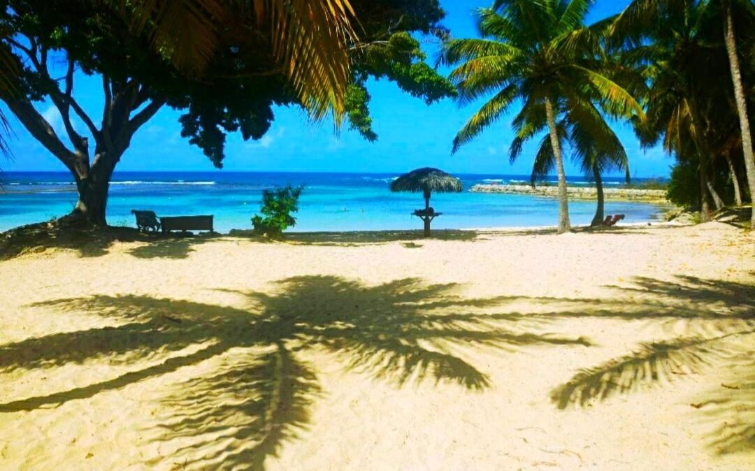 Le Ti'Paradise Anse Des Rochers Belle-Allée 외부 사진