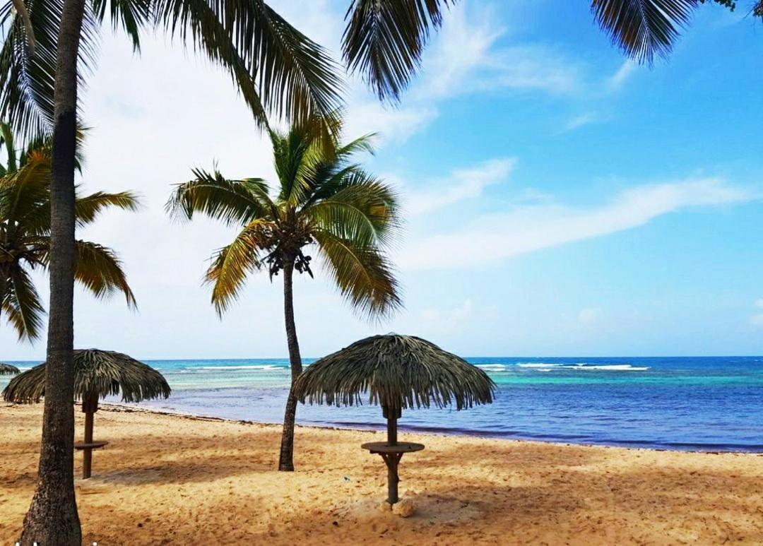 Le Ti'Paradise Anse Des Rochers Belle-Allée 외부 사진