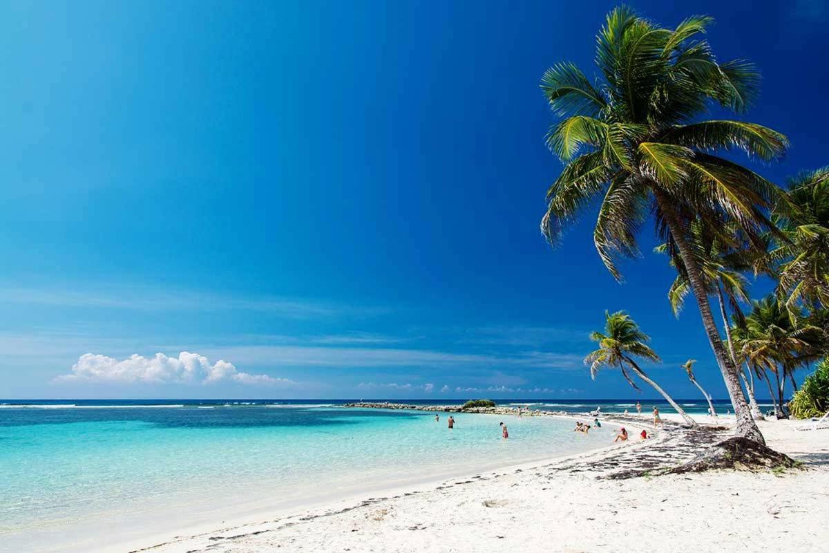 Le Ti'Paradise Anse Des Rochers Belle-Allée 외부 사진