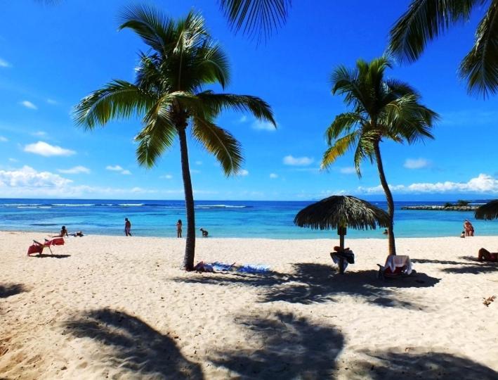 Le Ti'Paradise Anse Des Rochers Belle-Allée 외부 사진