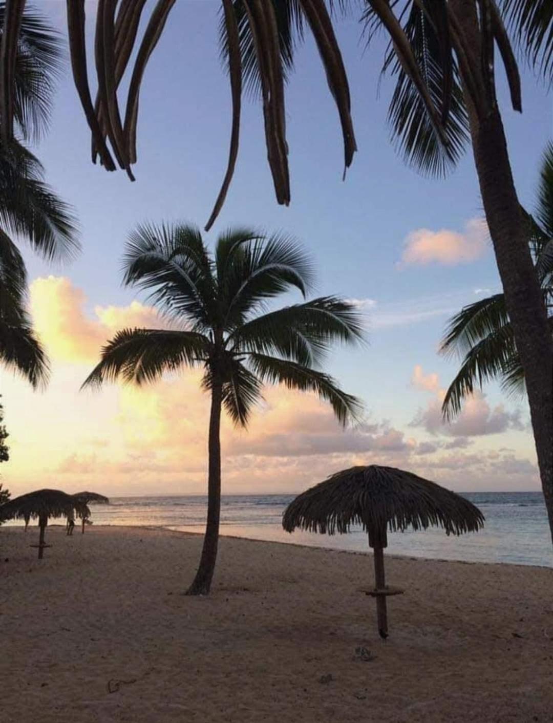 Le Ti'Paradise Anse Des Rochers Belle-Allée 외부 사진