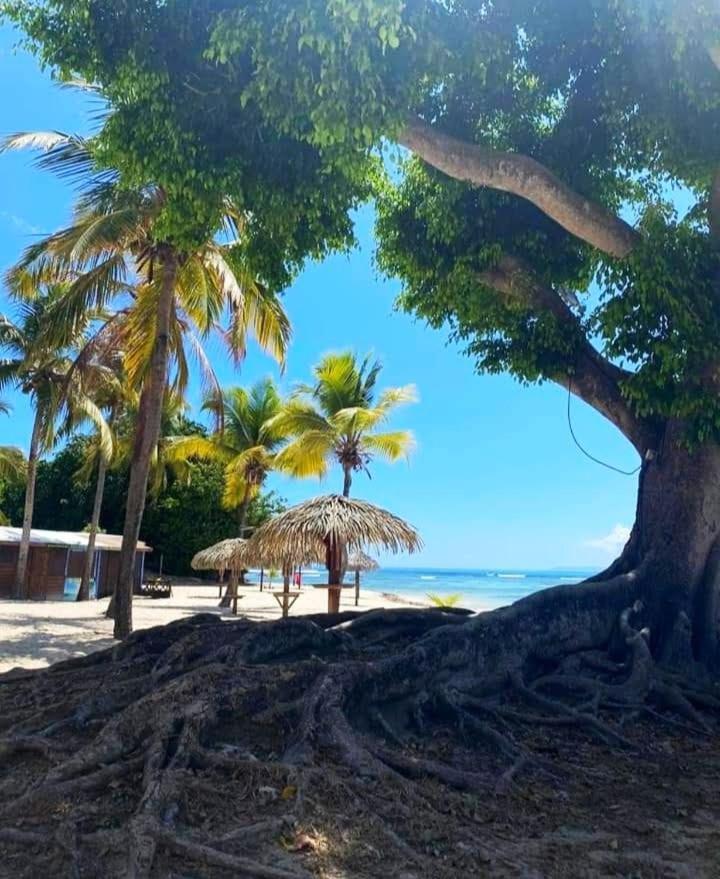 Le Ti'Paradise Anse Des Rochers Belle-Allée 외부 사진